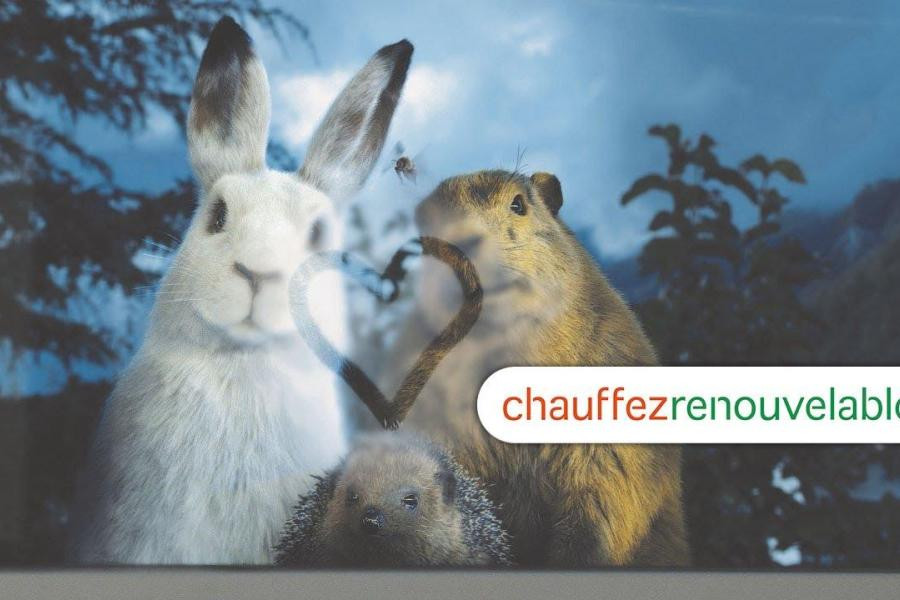 Faites-vous conseiller gratuitement par un expert pour changer votre chaudière